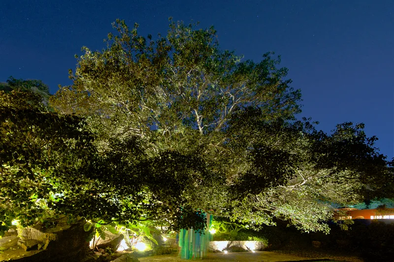 Tescalame House