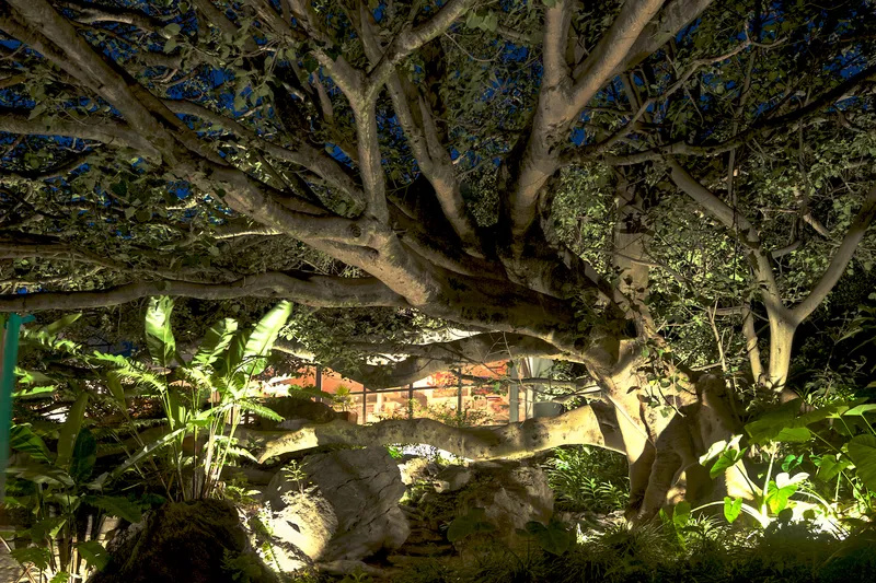 Tescalame House