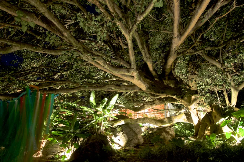 Tescalame House
