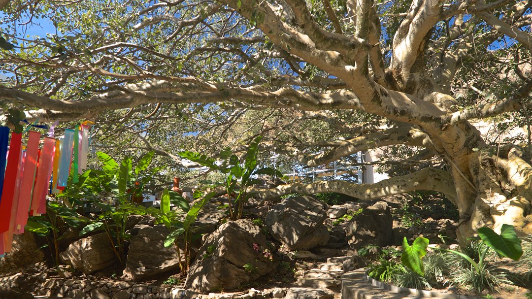 2-Casa-León-Leroy-DSC_6381