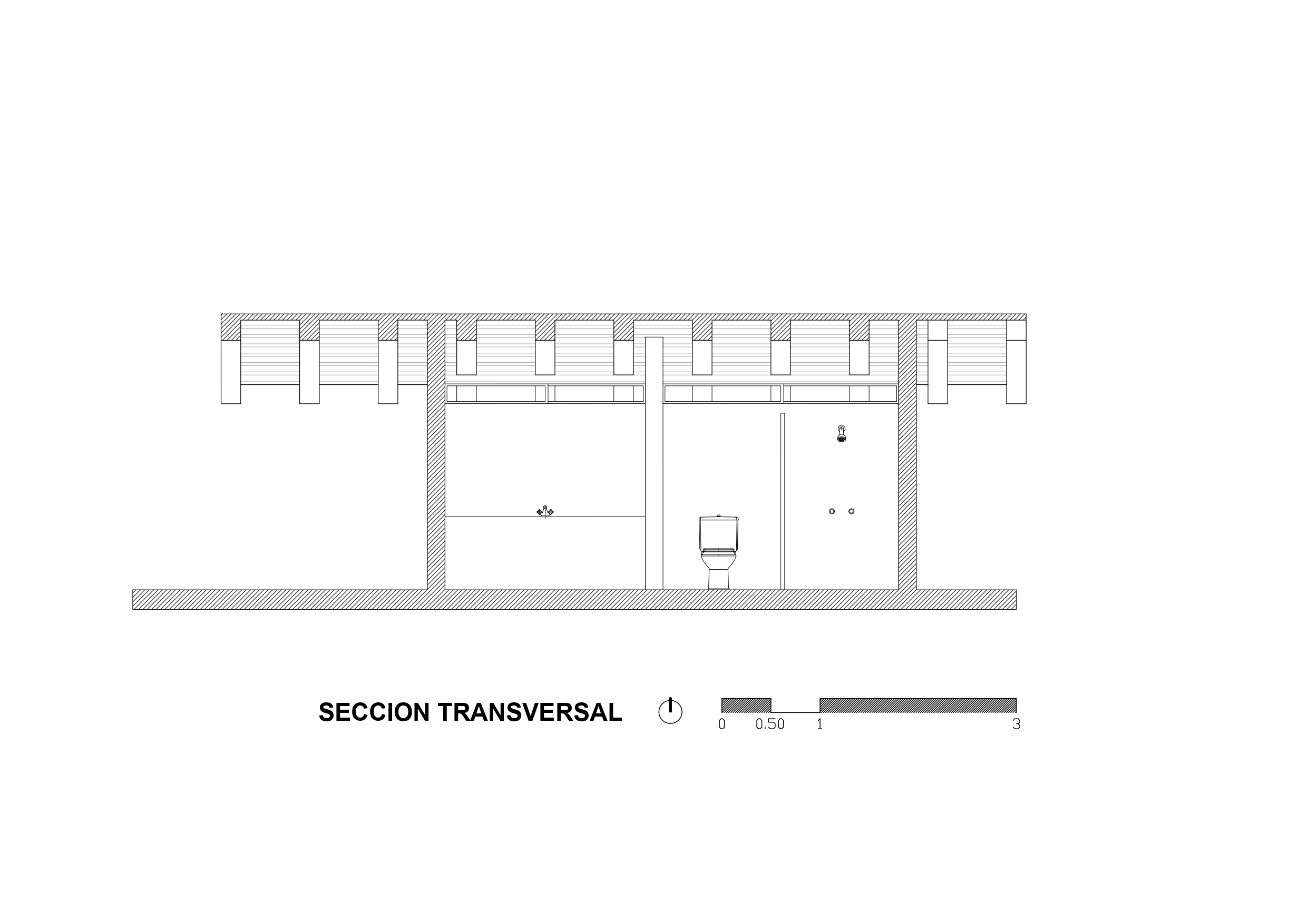 SECCION TRANSVERSAL_page-0001