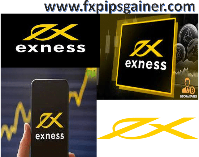Exness Forex Broker Your Guide to Trading Success