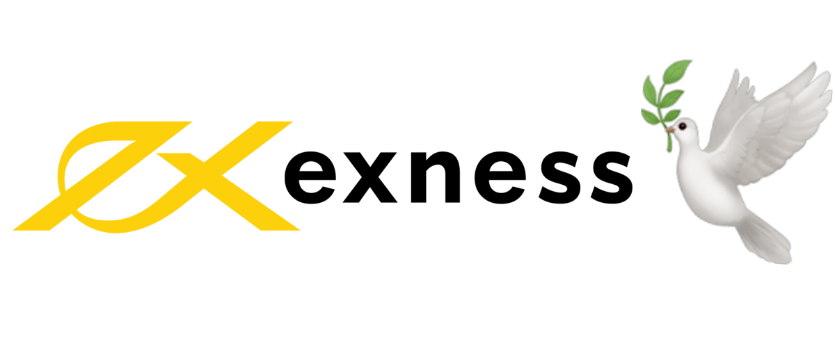 Your Complete Guide to Exness Contact Get Support Anytime
